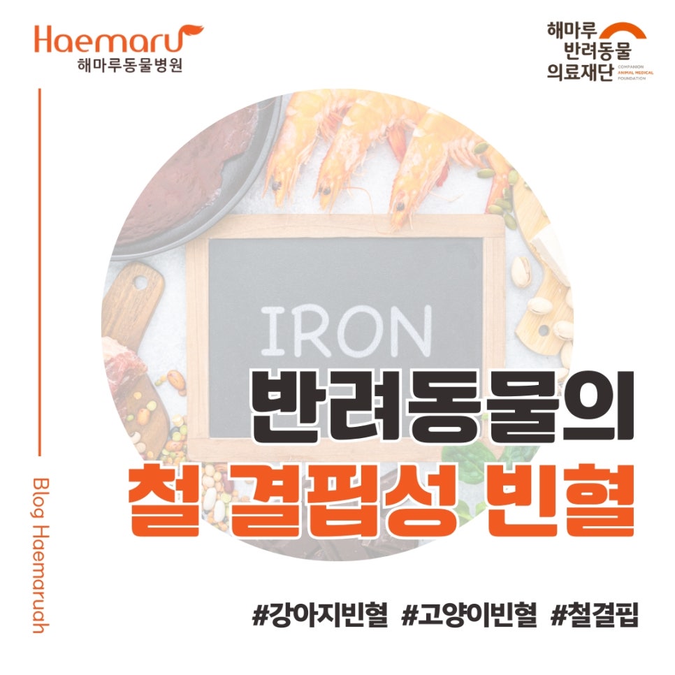 진료케이스 이미지