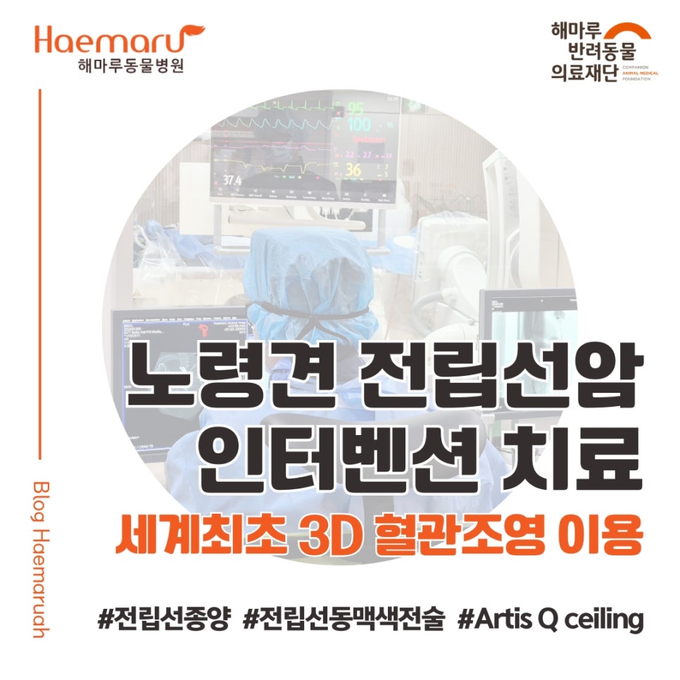 진료케이스 이미지