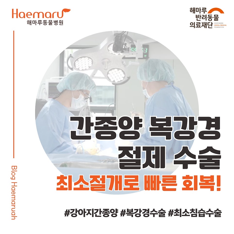 진료케이스 이미지