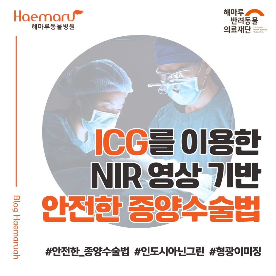 "반려동물 종양 수술, 완전 절제가 중요한 이유" ICG를 이용한 NIR 영상 기반 종양 수술 썸네일