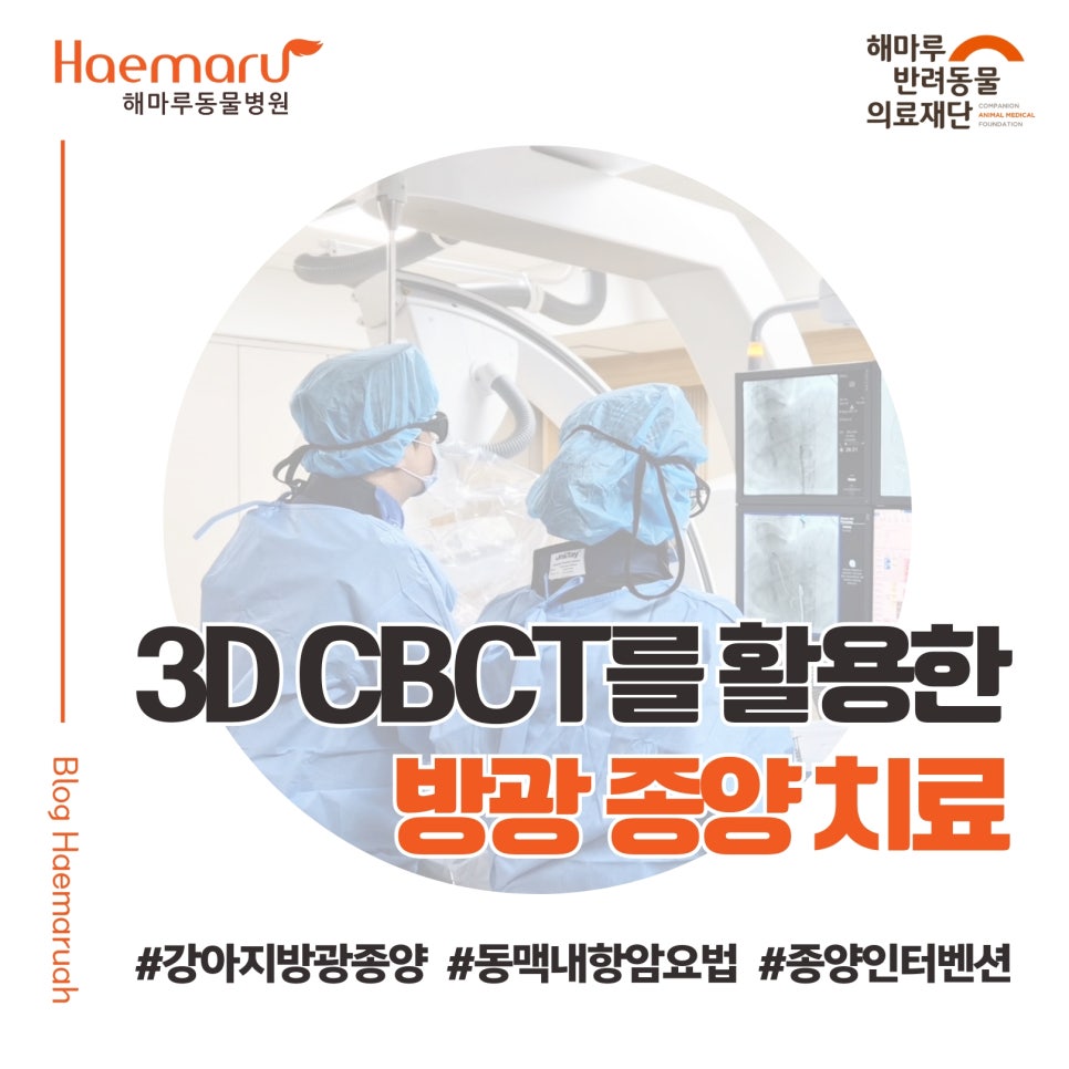 진료케이스 이미지