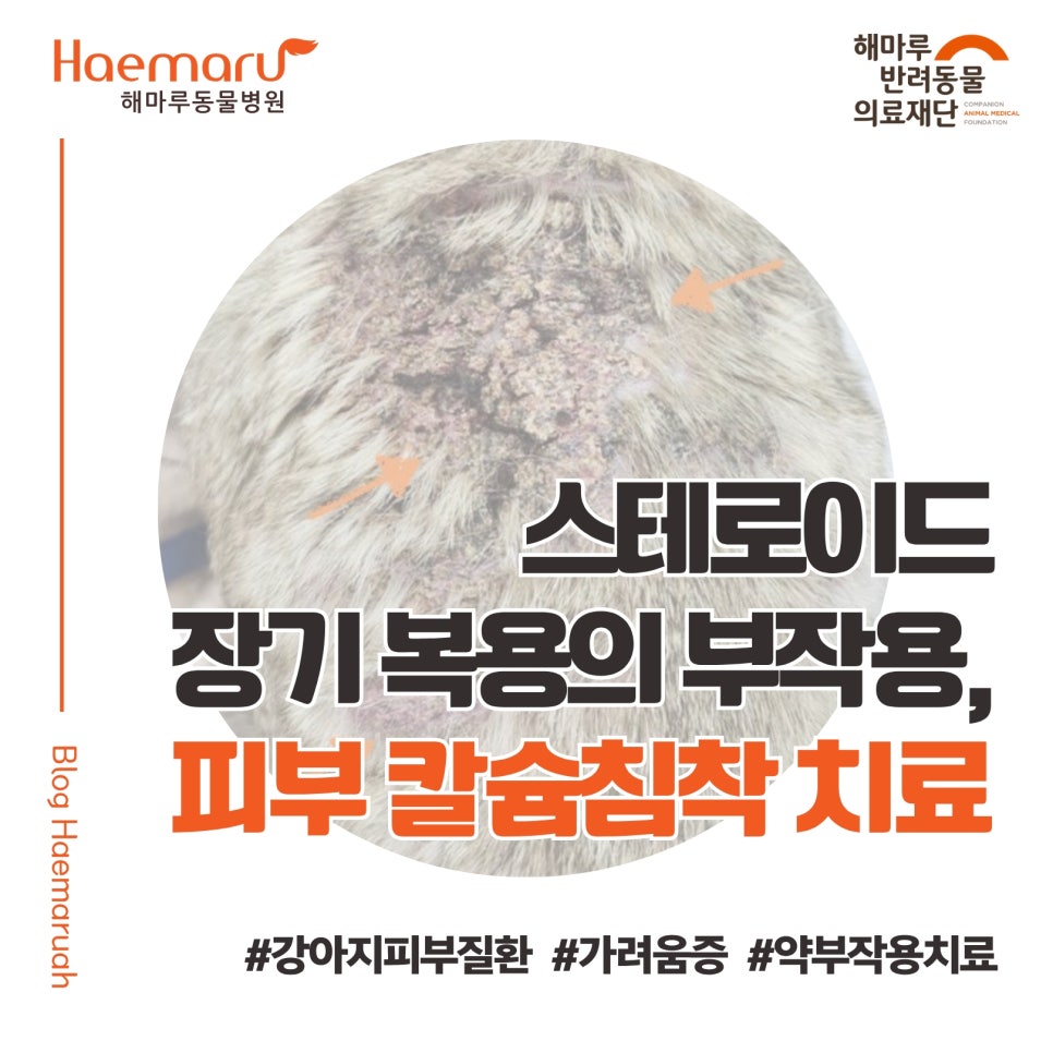 진료케이스 이미지