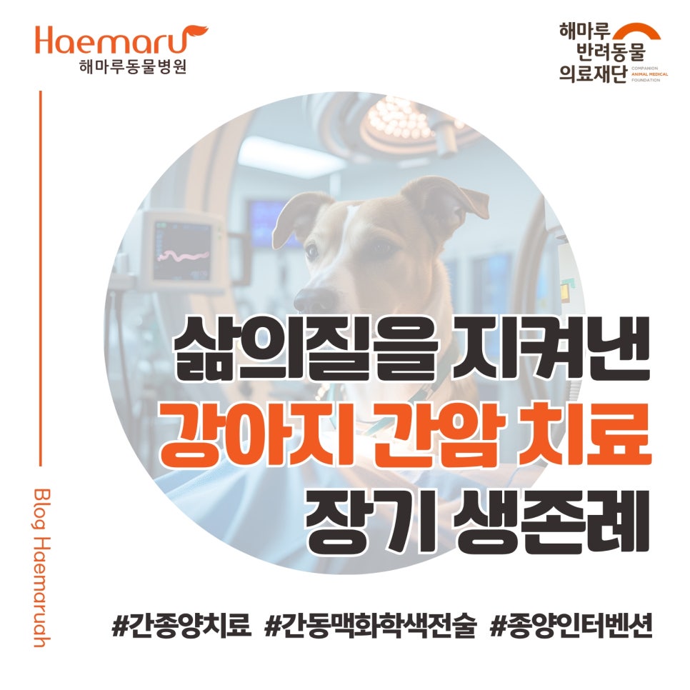 진료케이스 이미지