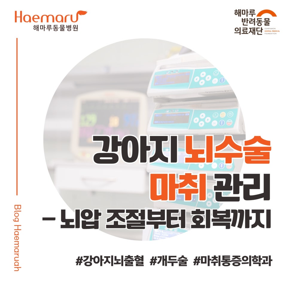 진료케이스 이미지