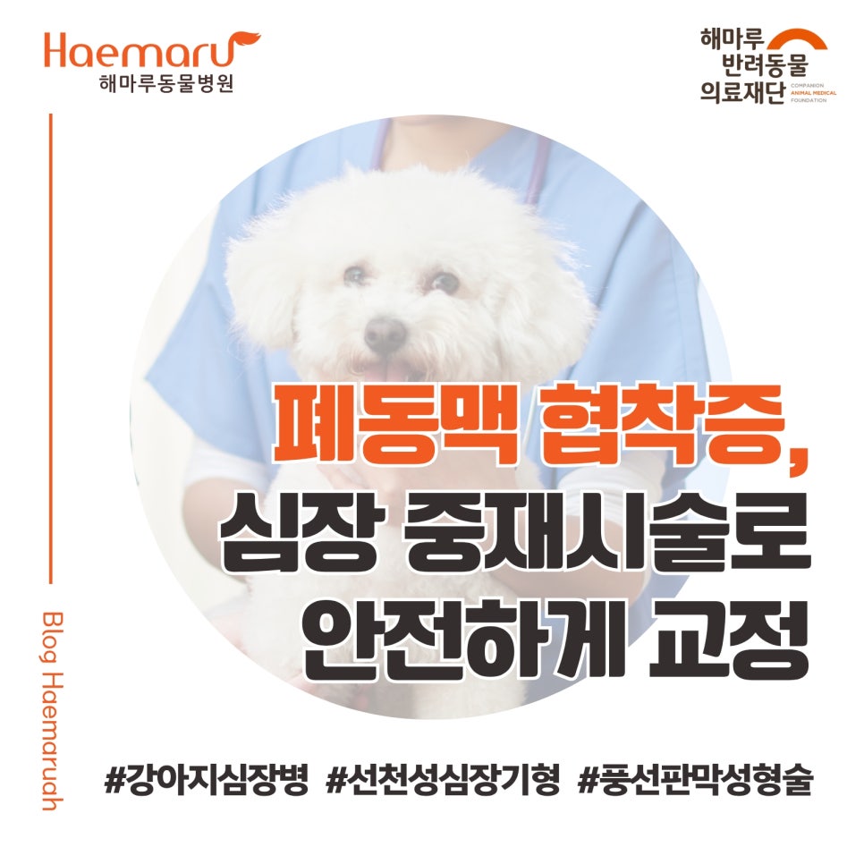 진료케이스 이미지