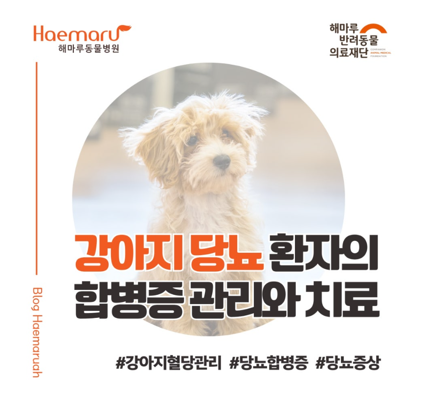 진료케이스 이미지