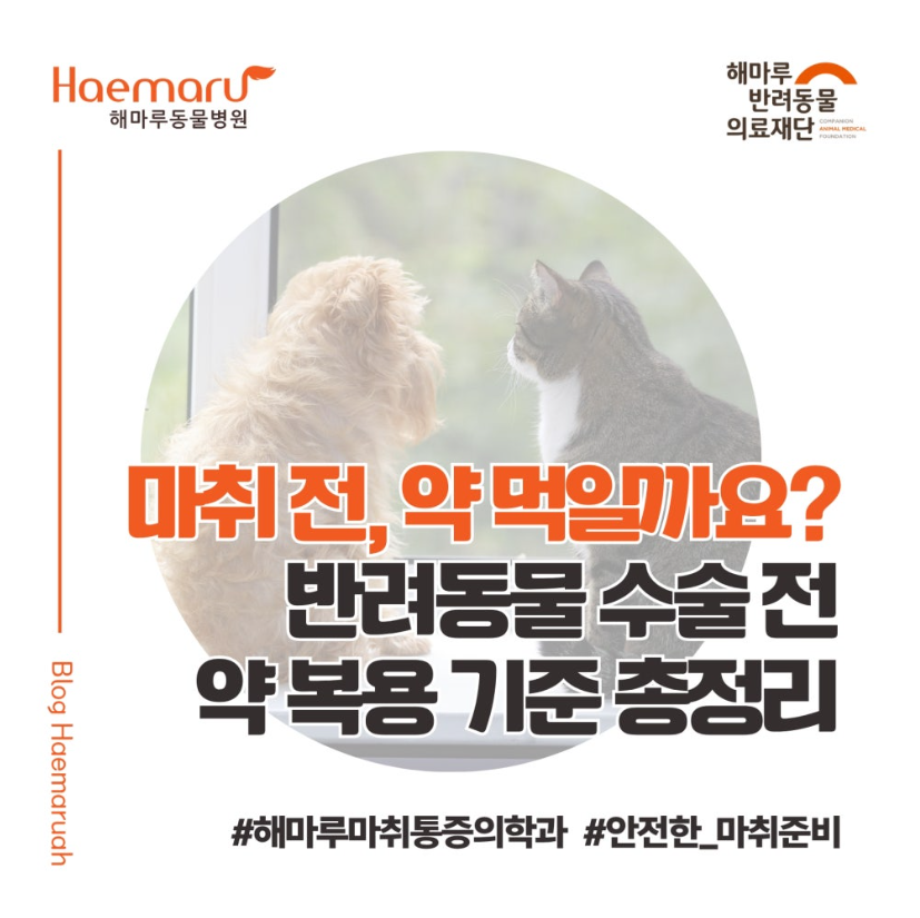 진료케이스 이미지