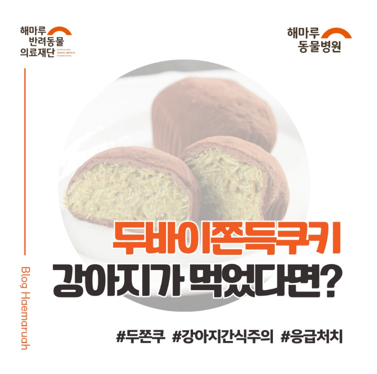 진료케이스 이미지