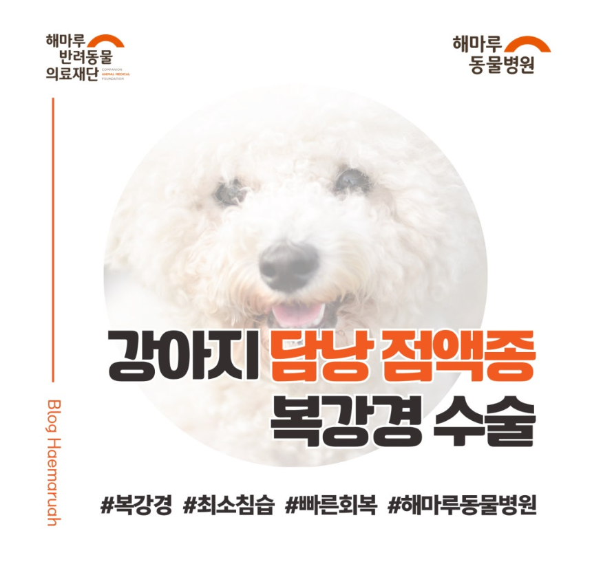 진료케이스 이미지