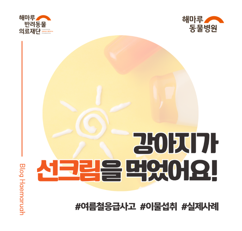 진료케이스 이미지